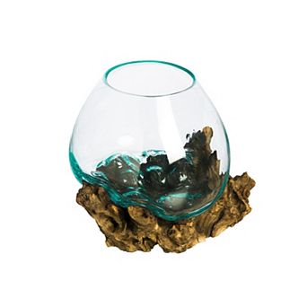 Evergreen Enterprises Medium Glass Planter on Driftwood