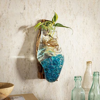 Evergreen Enterprises Wall Mounted Glass Planter on Driftwood