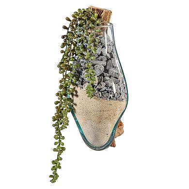 Evergreen Enterprises Wall Mounted Glass Planter on Driftwood