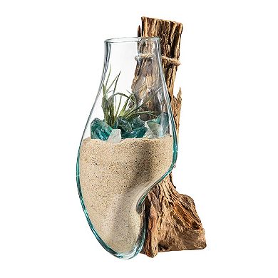 Evergreen Enterprises Wall Mounted Glass Planter on Driftwood