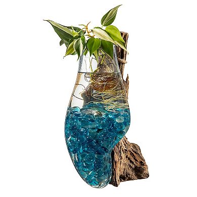 Evergreen Enterprises Wall Mounted Glass Planter on Driftwood
