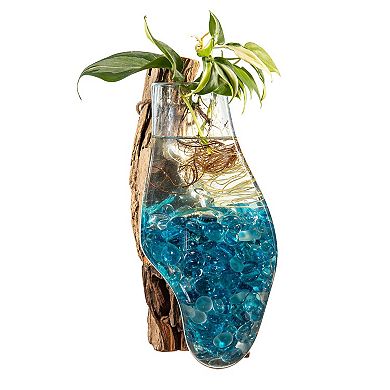 Evergreen Enterprises Wall Mounted Glass Planter on Driftwood