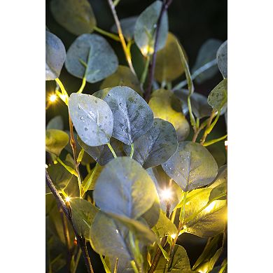 Evergreen Enterprises Eucalyptus Branch 32 LED Lights Set of 2