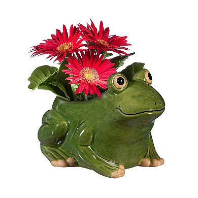Evergreen Enterprises Indoor / Outdoor Ceramic Frog Planter Table Decor