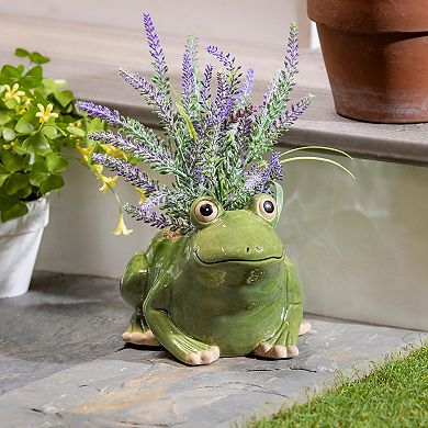 Evergreen Enterprises Indoor / Outdoor Ceramic Frog Planter Table Decor