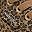 Tan Leopard