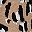 Tan Leopard