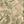 Olive Camo