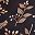 Black Berry Branches