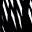 Black White Tropical