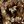 Brown Textured Floral