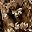 Brown Textured Floral