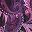 Lavender Heliotrope