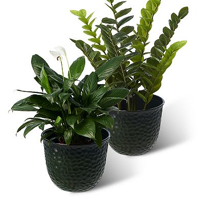 Glitzhome 15.25"D Set of 2 Honeycomb Textured Faux Ceramic Pot Plastic Planter