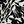 Black White Leaf