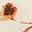 Poppy Print Asst