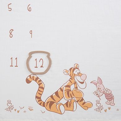 Disney's Winnie the Pooh Milestone Blanket
