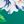 Emerald Petunia