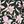 Tropic Floral Olive
