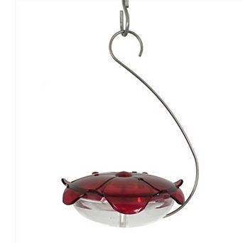 Droll Yankees The Ruby Sipper Hanging Hummingbird Feeder - 5 Oz