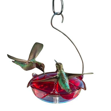 Droll Yankees The Ruby Sipper Window Mount Hummingbird Feeder - 5 Oz