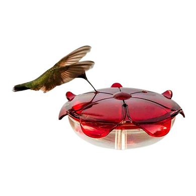Droll Yankees The Ruby Sipper Window Mount Hummingbird Feeder - 5 Oz