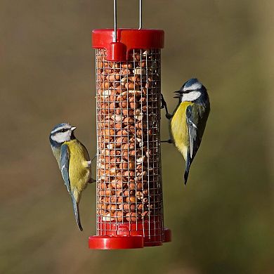 Jacobi Jayne Get Set Go! Peanut Bird Feeders