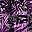 Purple Tropical Leaves