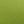 Calla Green