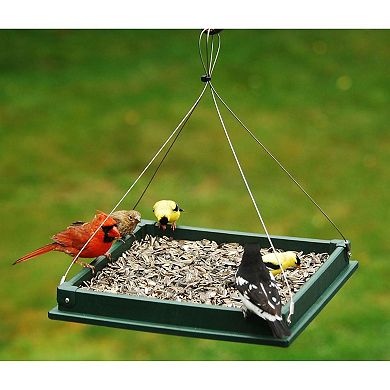 Songbird Essentials Hanging Platform Recycled Plastic Bird Feeders