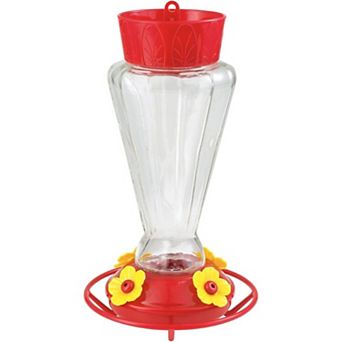 More Birds Royal Glass Hummingbird Feeder - (28 Ounce)