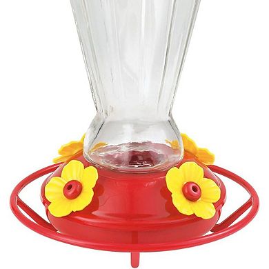 More Birds Royal Glass Hummingbird Feeder - (28 Ounce)