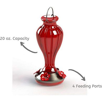 More Birds Blossom Glass Hummingbird Feeder - 20 Ounces