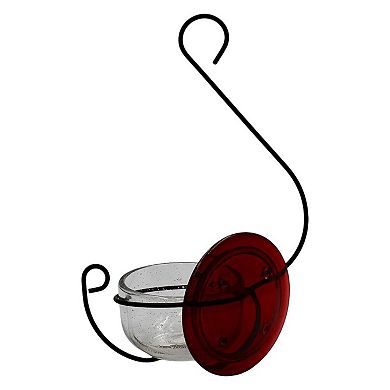 Backyard Essentials Clear Bubble Glass Hanging Hummingbird Feeder - 6 oz