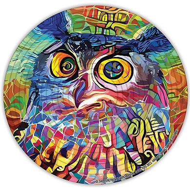 TCG Toys Spin Flip Puzzle: Abstract 2L- 14 Rings Double-Sided Puzzle