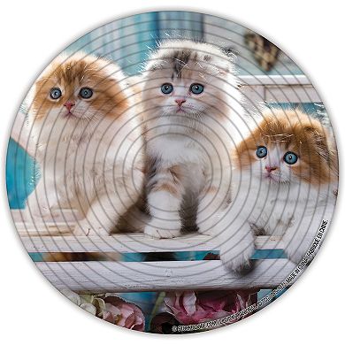 TCG Toys Spin Flip Puzzle: Puppies & Kittens 2L- 14 Rings 2-In-1 Double-Sided Puzzle