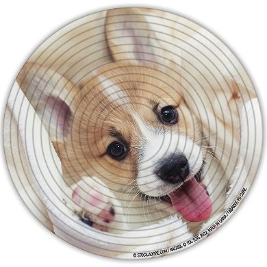 TCG Toys Spin Flip Puzzle: Puppies & Kittens 2L- 14 Rings 2-In-1 Double-Sided Puzzle