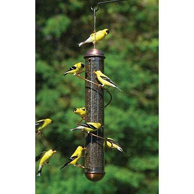 Songbird Essentials Copper Spiral Thistle Nyjer Thistle Tube Bird Feeder - 17.5 "