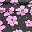 Olive Green Floral