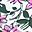 White Ditsy Floral