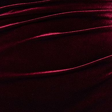 Women's X Evenings Long Velvet Cross Top Dress