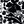 Black White Floral