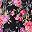 Pink Painted Floral