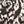 Black Ikat