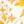 Yellow Floral White