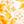 Yellow Floral White