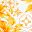 Yellow Floral White