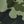 Olive Green Camo