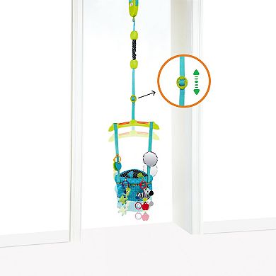 Bright Starts Bounce 'n Spring Deluxe Activity Center Door Jumper