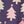 Purple Multi Trees